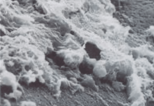 Sand particle with a hydrophobic organic acid coating