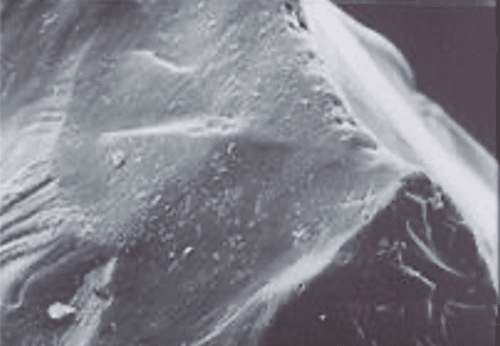Clean sand particle